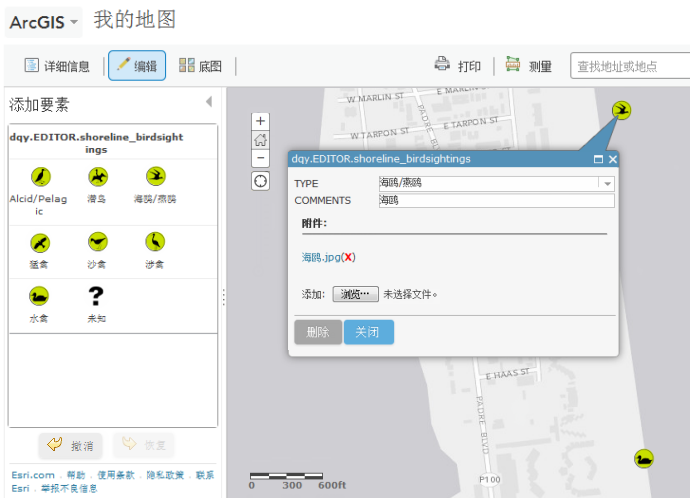 使用 Map Viewer 向数据库添加观鸟数据