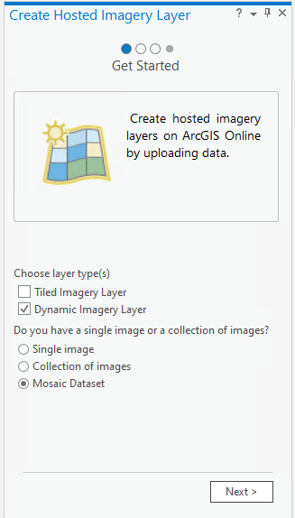 Bereich "Gehosteten Bilddaten-Layer erstellen" mit aktiviertem Kontrollkästchen "Dynamischer Bilddaten-Layer" und ausgewählter Option "Mosaik-Dataset"