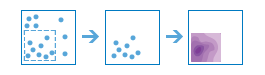 Workflow-Diagramm des Werkzeugs "Dichte berechnen"