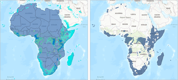 Seltenheit von Vogelarten, beschnitten auf die Grenzen Afrikas