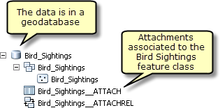 Feature-Class "Bird_Sightings"