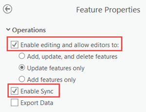 Bearbeitung und Synchronisierung für den Feature-Layer aktivieren
