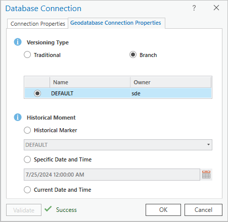 Database Connection dialog box with Branch versioning selected