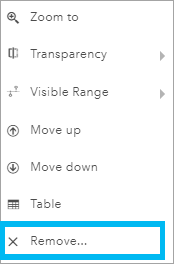 Layer Options menu with the Remove option highlighted
