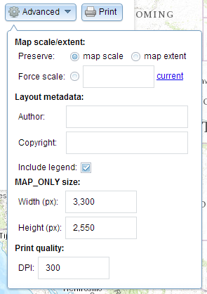 Advanced print options