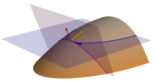 Tangential and Plan (projected contour) curvature planes