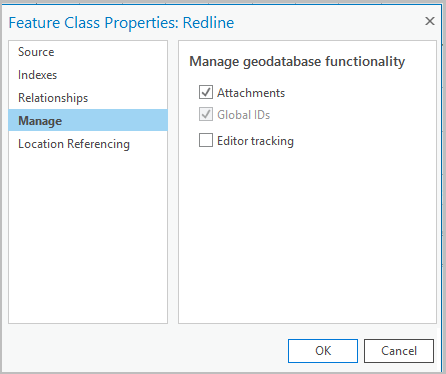 Feature Class Properties dialog box, Manage tab