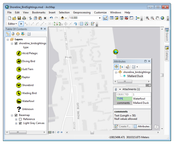 Adding a bird sighting to the ArcMap display