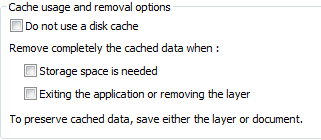 Layer-based globe cache settings