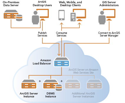 and DBMS on separate AWS instances