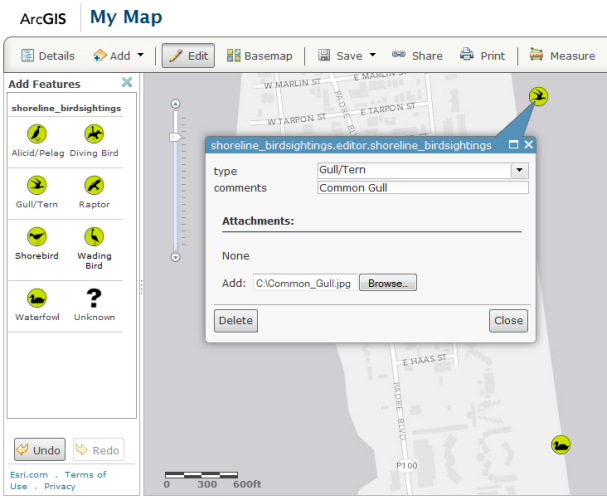 Adding a bird sighting to the database using the ArcGIS Online map viewer