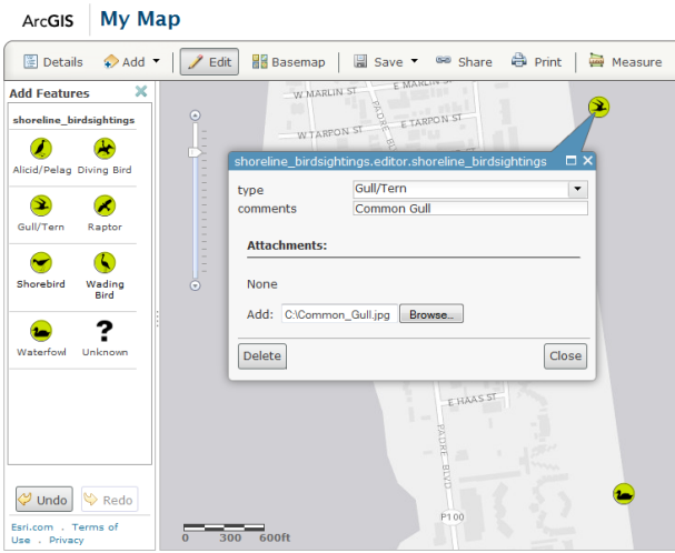 Adding a bird sighting to the database using Map Viewer