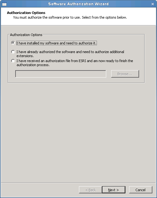 Choose the appropriate authorization option for your environment on the Authorization Options dialog box