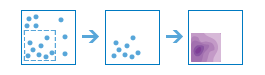 Diagramme du workflow Calculer la densité