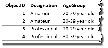 Couche en entrée synthétisée à l’aide des champs Designation (Désignation) et Age Group (Tranche d’âge)