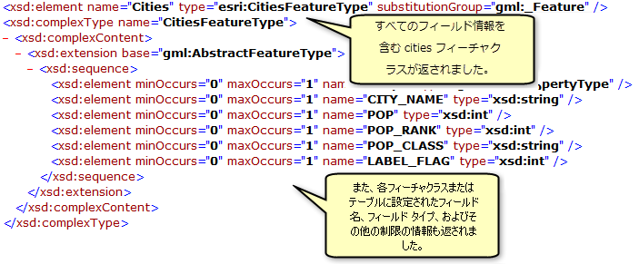 DescribeFeatureType 操作によって返されたフィーチャクラス、テーブル、およびフィールド情報