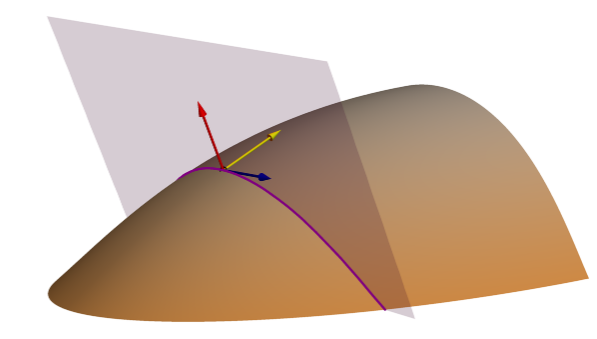 Côncavo e convexo na geometria. Curvas, superfícies, ângulos e