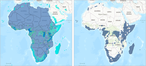 Карта редких видов птиц вырезана по границам Африки
