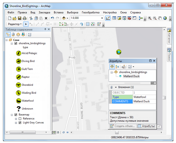 Добавьте набор данных мозаики к отображению ArcMap.