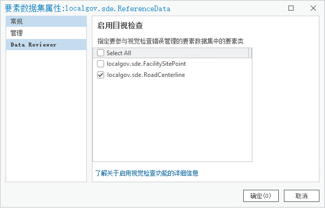 此“要素数据集属性”对话框中包含处于活动状态的 Data Reviewer 选项卡和“启用目视检查”设置